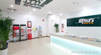 新东方教育加盟代理招商全解析 品牌背景、加盟费用及联系方式